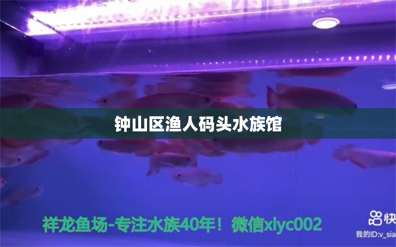 钟山区渔人码头水族馆