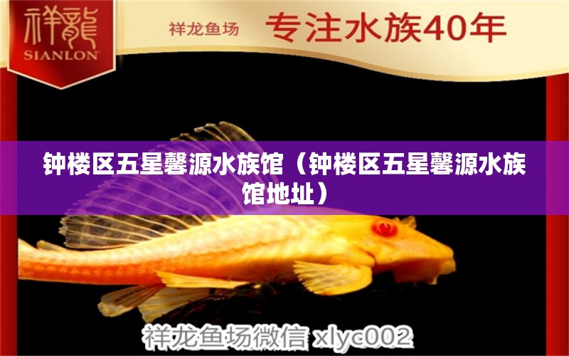 钟楼区五星馨源水族馆（钟楼区五星馨源水族馆地址） 全国水族馆企业名录