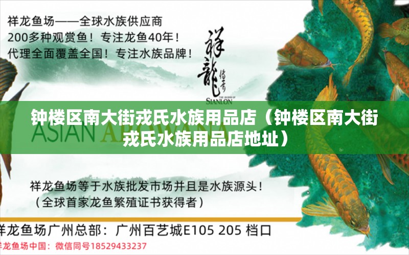 钟楼区南大街戎氏水族用品店（钟楼区南大街戎氏水族用品店地址）