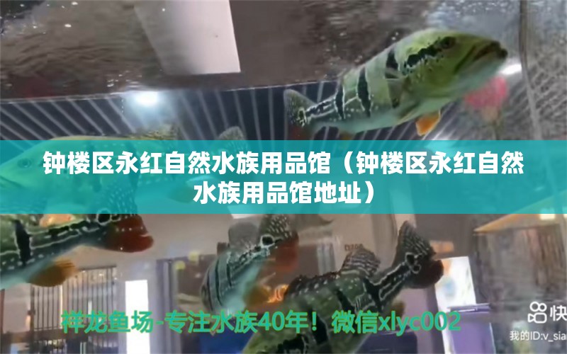 钟楼区永红自然水族用品馆（钟楼区永红自然水族用品馆地址）