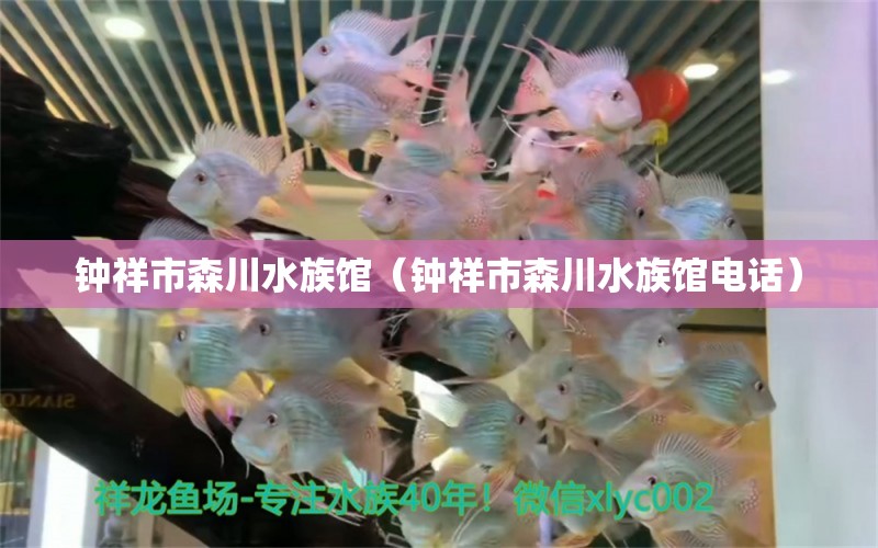 钟祥市森川水族馆（钟祥市森川水族馆电话） 全国水族馆企业名录