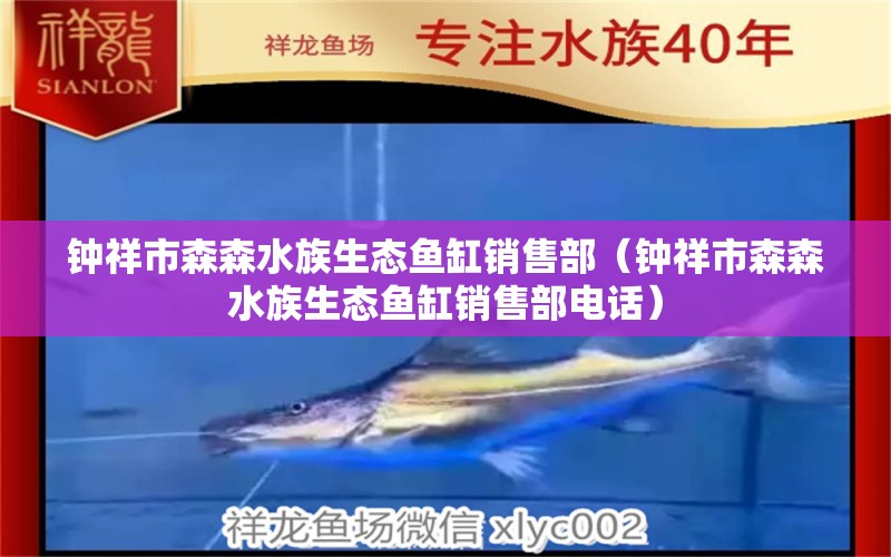 钟祥市森森水族生态鱼缸销售部（钟祥市森森水族生态鱼缸销售部电话）