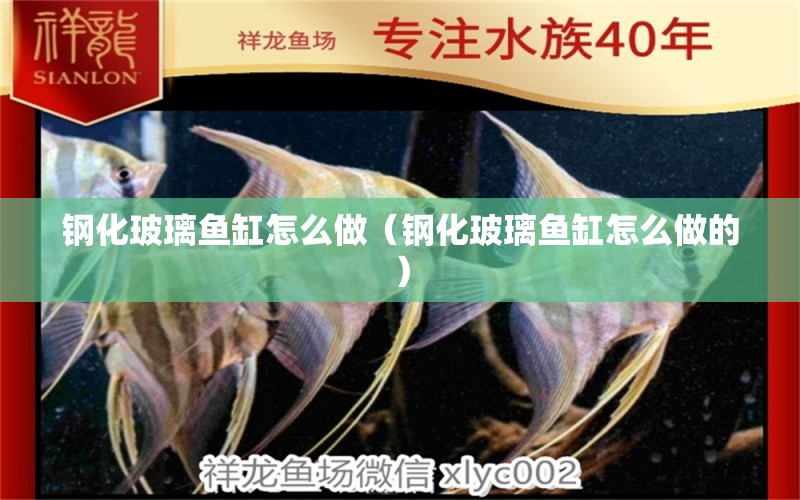 钢化玻璃鱼缸怎么做（钢化玻璃鱼缸怎么做的） 祥龙水族医院