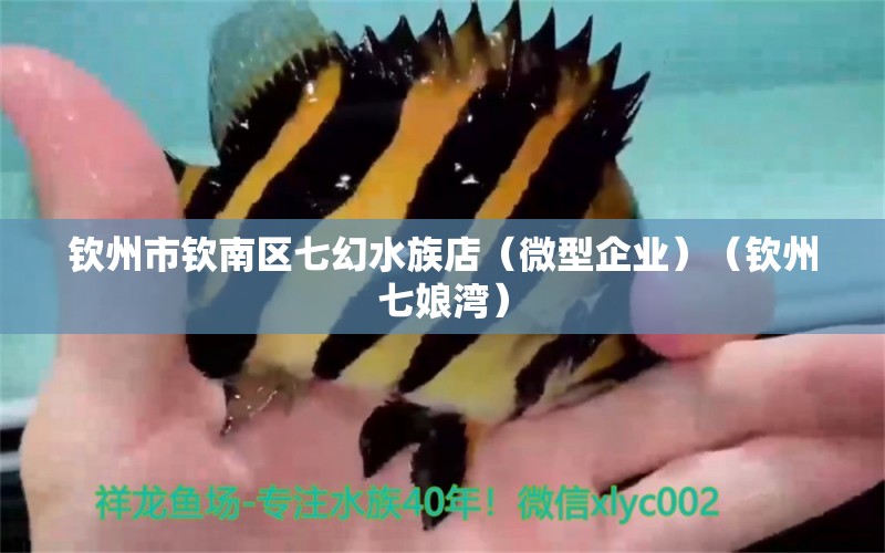 钦州市钦南区七幻水族店（微型企业）（钦州七娘湾） 全国水族馆企业名录