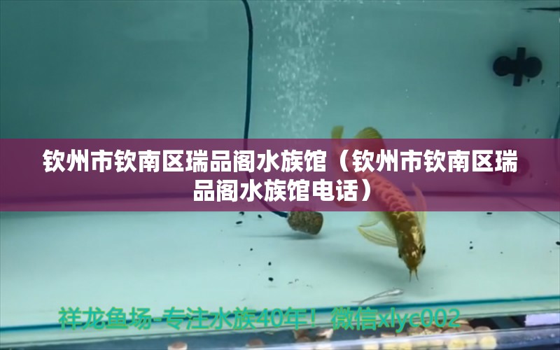 钦州市钦南区瑞品阁水族馆（钦州市钦南区瑞品阁水族馆电话）