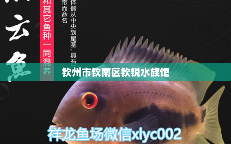 钦州市钦南区钦锐水族馆 全国水族馆企业名录