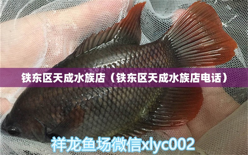 铁东区天成水族店（铁东区天成水族店电话）