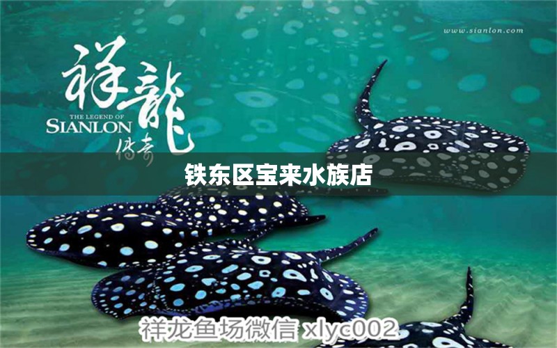 铁东区宝来水族店