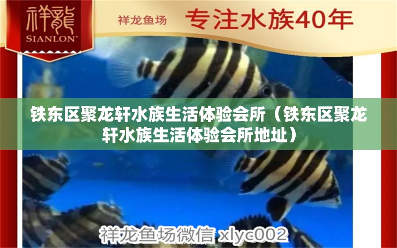 铁东区聚龙轩水族生活体验会所（铁东区聚龙轩水族生活体验会所地址）