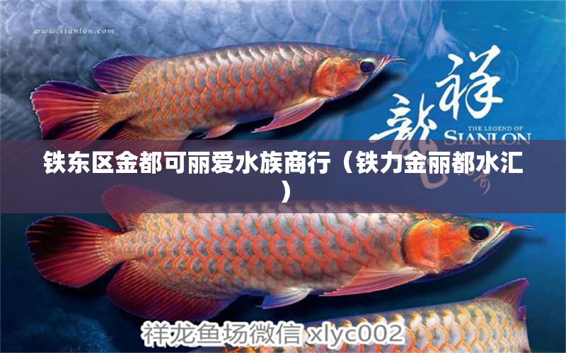 铁东区金都可丽爱水族商行（铁力金丽都水汇）