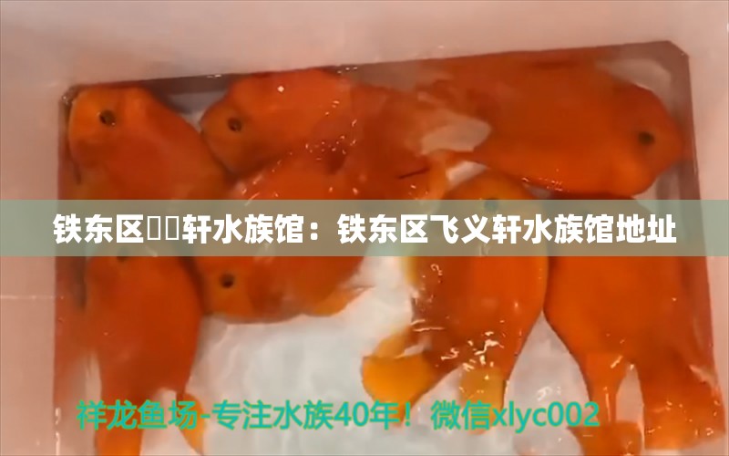 铁东区飛義轩水族馆：铁东区飞义轩水族馆地址 全国水族馆企业名录