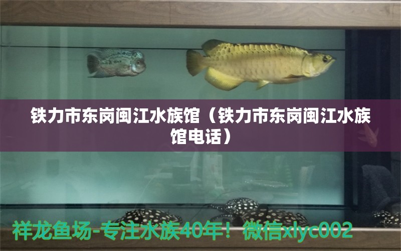 铁力市东岗闽江水族馆（铁力市东岗闽江水族馆电话）