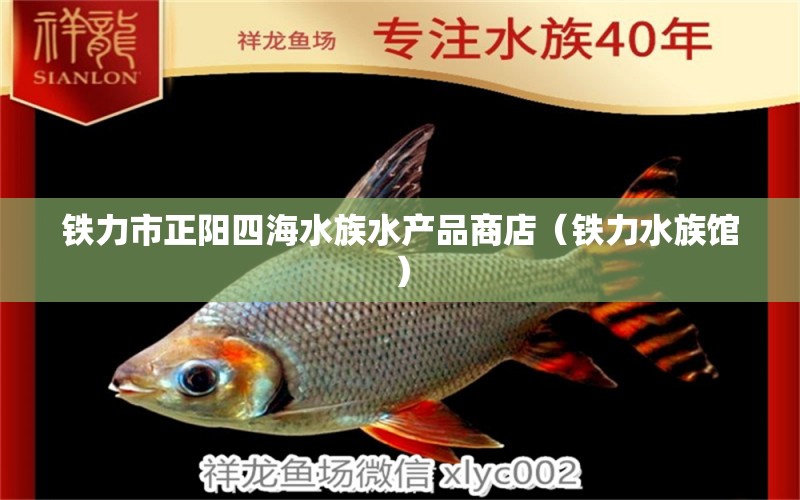 铁力市正阳四海水族水产品商店（铁力水族馆） 全国水族馆企业名录