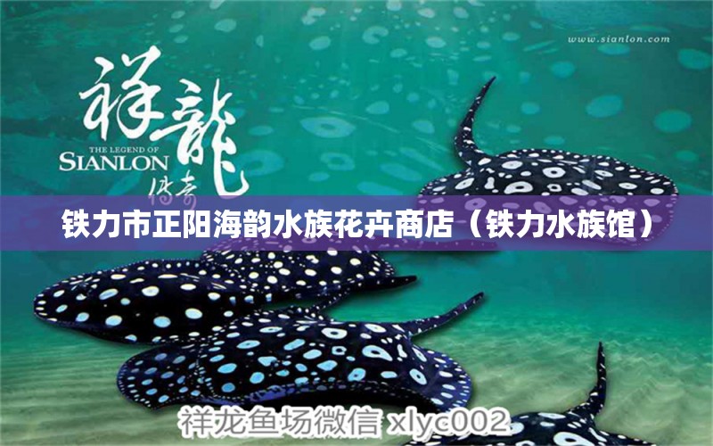 铁力市正阳海韵水族花卉商店（铁力水族馆） 全国水族馆企业名录