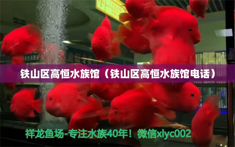 铁山区高恒水族馆（铁山区高恒水族馆电话）