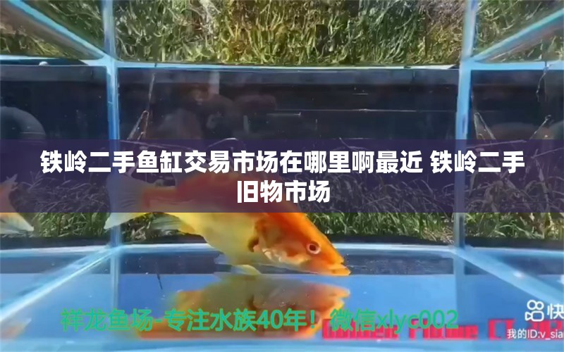 铁岭二手鱼缸交易市场在哪里啊最近 铁岭二手旧物市场 定时器/自控系统 第1张