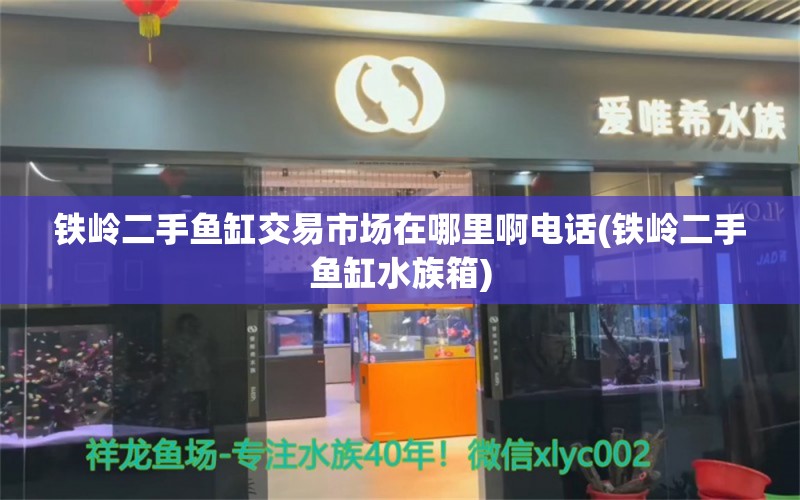 铁岭二手鱼缸交易市场在哪里啊电话(铁岭二手鱼缸水族箱) 鱼缸/水族箱