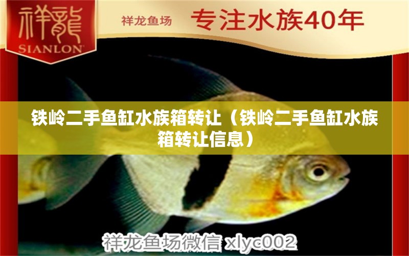 铁岭二手鱼缸水族箱转让（铁岭二手鱼缸水族箱转让信息）