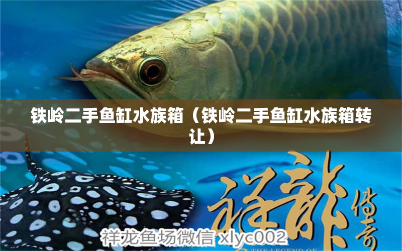 铁岭二手鱼缸水族箱（铁岭二手鱼缸水族箱转让） 鱼缸/水族箱