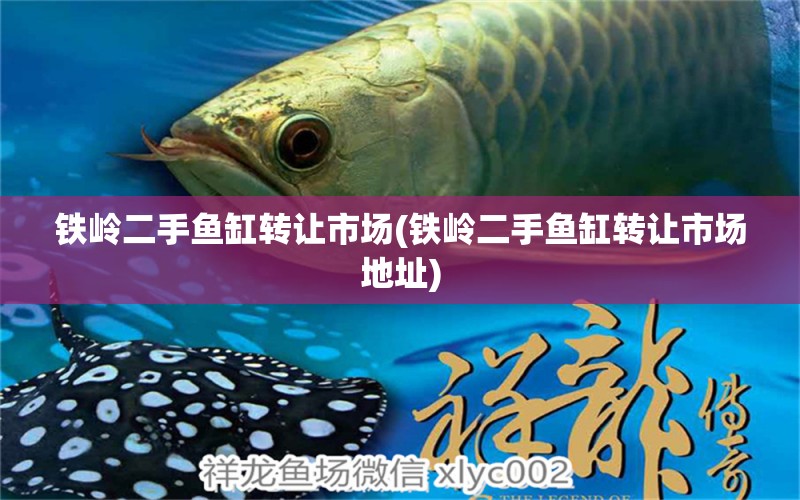 铁岭二手鱼缸转让市场(铁岭二手鱼缸转让市场地址) 2024第28届中国国际宠物水族展览会CIPS（长城宠物展2024 CIPS）