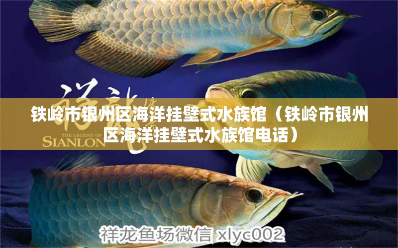 铁岭市银州区海洋挂壁式水族馆（铁岭市银州区海洋挂壁式水族馆电话）