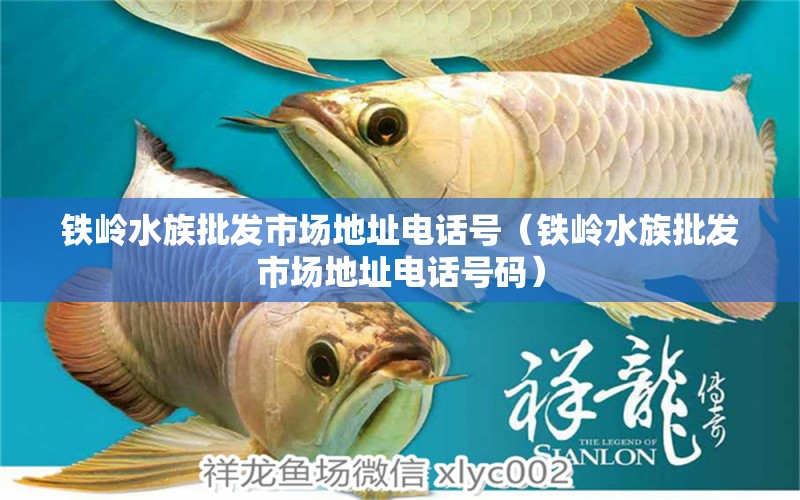 铁岭水族批发市场地址电话号（铁岭水族批发市场地址电话号码）