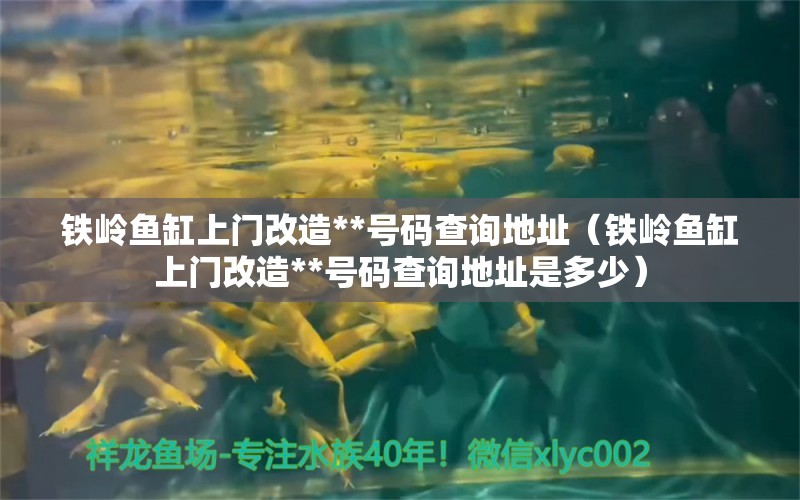 铁岭鱼缸上门改造**号码查询地址（铁岭鱼缸上门改造**号码查询地址是多少） 青龙鱼