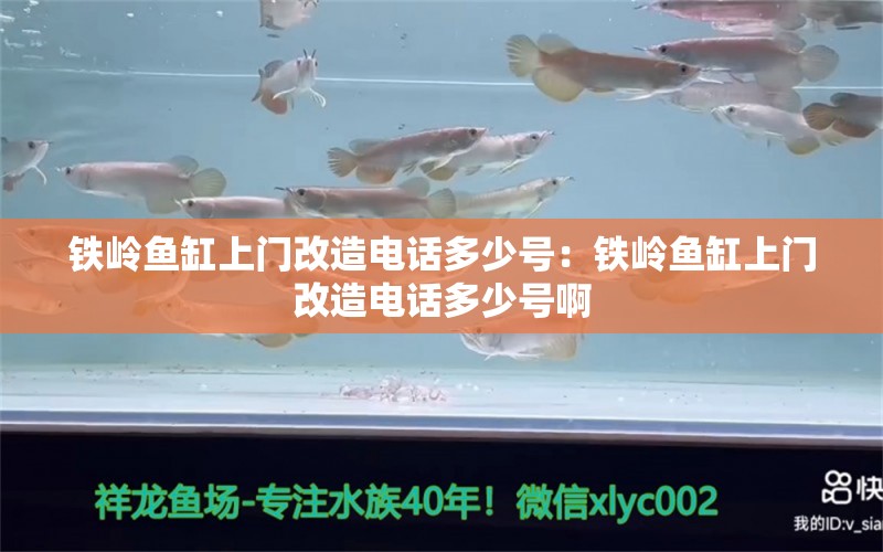 铁岭鱼缸上门改造电话多少号：铁岭鱼缸上门改造电话多少号啊 观赏鱼市场（混养鱼）