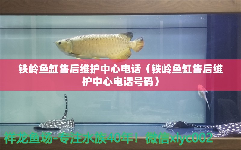 铁岭鱼缸售后维护中心电话（铁岭鱼缸售后维护中心电话号码）