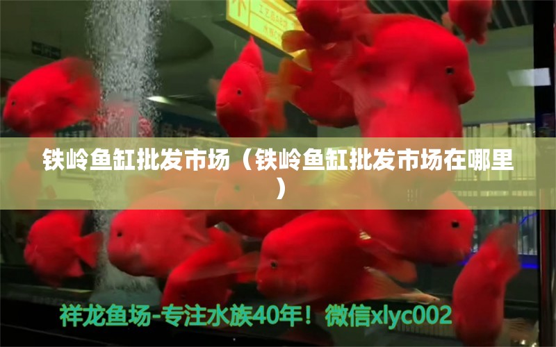 铁岭鱼缸批发市场（铁岭鱼缸批发市场在哪里） 观赏鱼水族批发市场