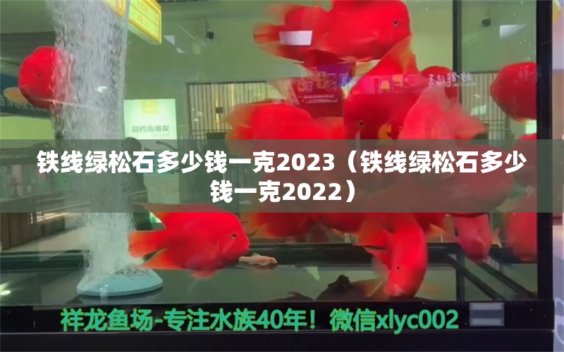 铁线绿松石多少钱一克2023（铁线绿松石多少钱一克2022）