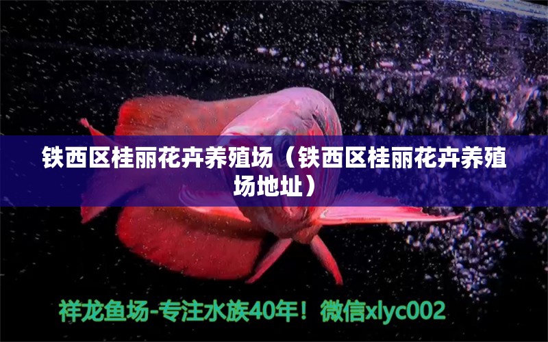 铁西区桂丽花卉养殖场（铁西区桂丽花卉养殖场地址） 全国水族馆企业名录