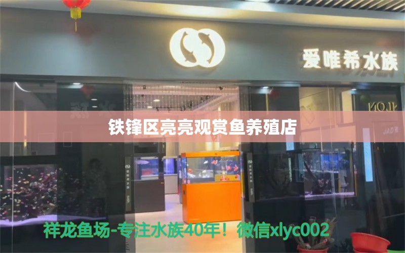 铁锋区亮亮观赏鱼养殖店 全国水族馆企业名录