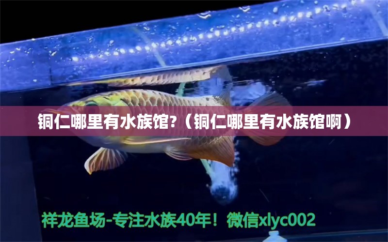 铜仁哪里有水族馆?（铜仁哪里有水族馆啊）