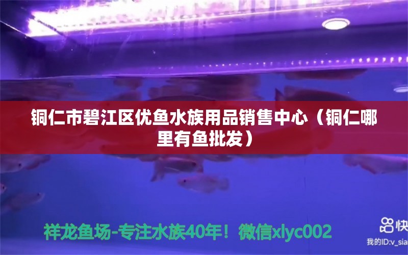 铜仁市碧江区优鱼水族用品销售中心（铜仁哪里有鱼批发） 水族用品