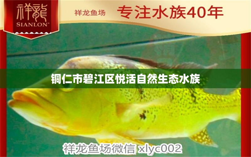 铜仁市碧江区悦活自然生态水族 全国水族馆企业名录