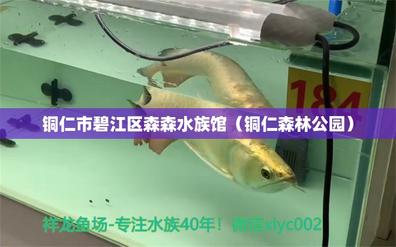 铜仁市碧江区森森水族馆（铜仁森林公园）