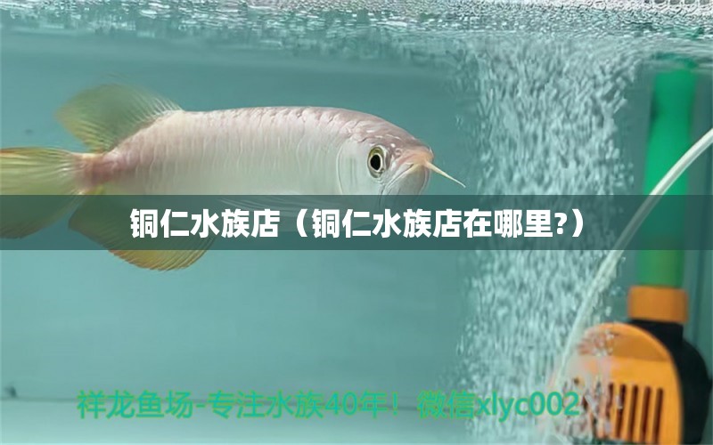 铜仁水族店（铜仁水族店在哪里?） 观赏鱼市场