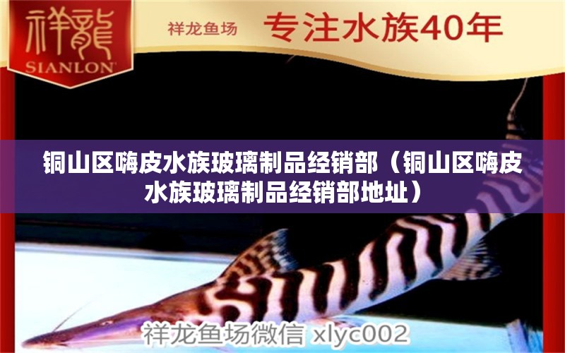 铜山区嗨皮水族玻璃制品经销部（铜山区嗨皮水族玻璃制品经销部地址） 全国水族馆企业名录