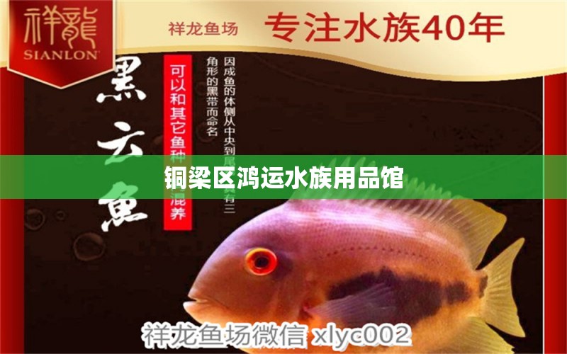 铜梁区鸿运水族用品馆 水族用品