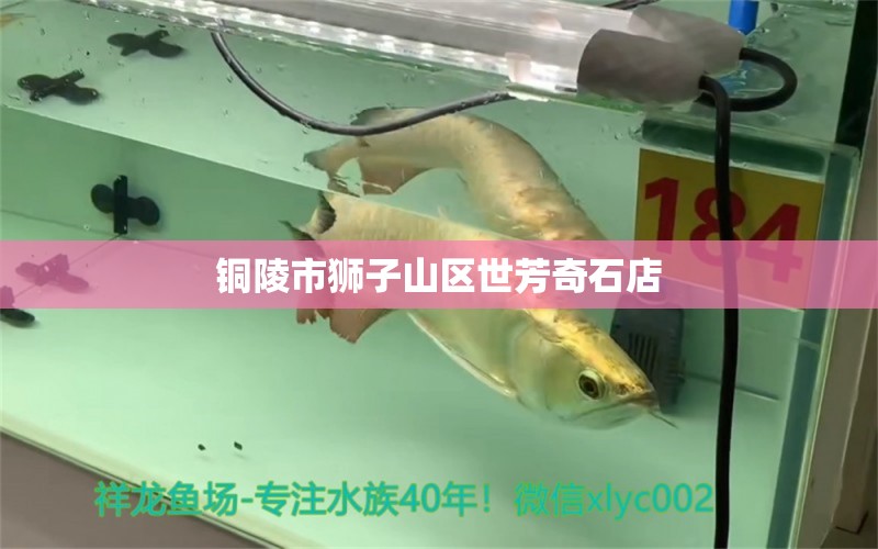 铜陵市狮子山区世芳奇石店 全国水族馆企业名录