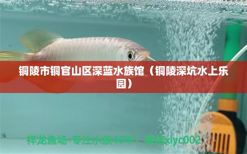 铜陵市铜官山区深蓝水族馆（铜陵深坑水上乐园） 全国水族馆企业名录