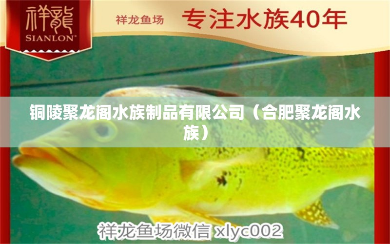 铜陵聚龙阁水族制品有限公司（合肥聚龙阁水族） 全国水族馆企业名录