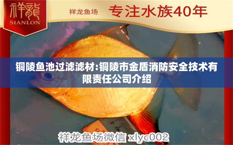 铜陵鱼池过滤滤材:铜陵市金盾消防安全技术有限责任公司介绍 广州水族器材滤材批发市场