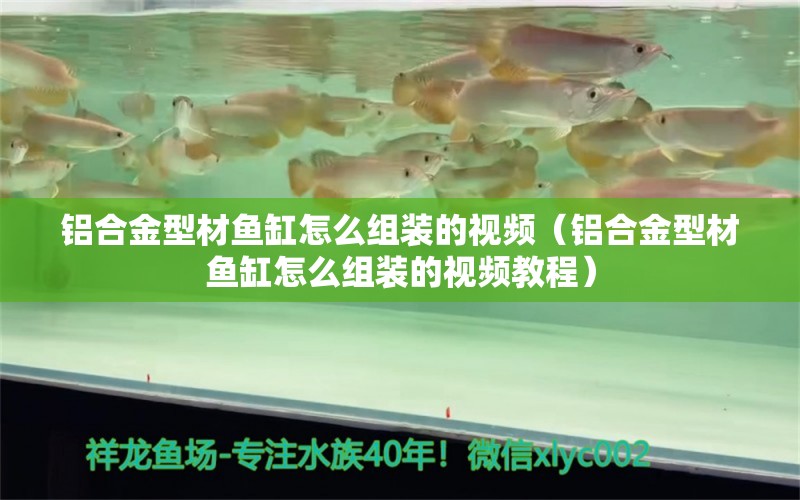 铝合金型材鱼缸怎么组装的视频（铝合金型材鱼缸怎么组装的视频教程）