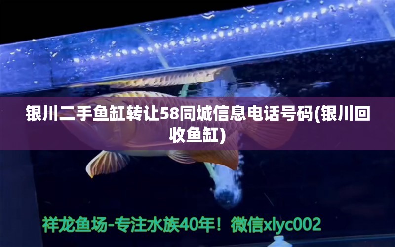 银川二手鱼缸转让58同城信息电话号码(银川回收鱼缸)