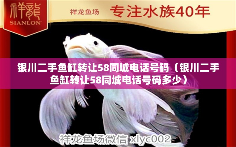 银川二手鱼缸转让58同城电话号码（银川二手鱼缸转让58同城电话号码多少）