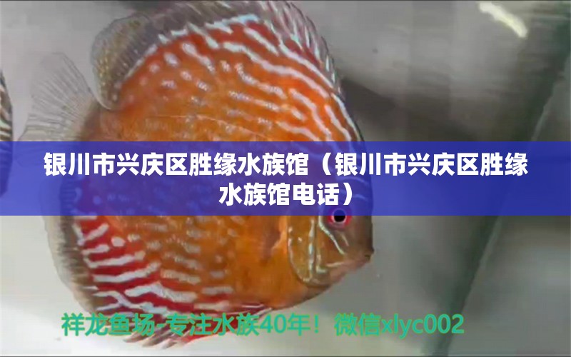 银川市兴庆区胜缘水族馆（银川市兴庆区胜缘水族馆电话）