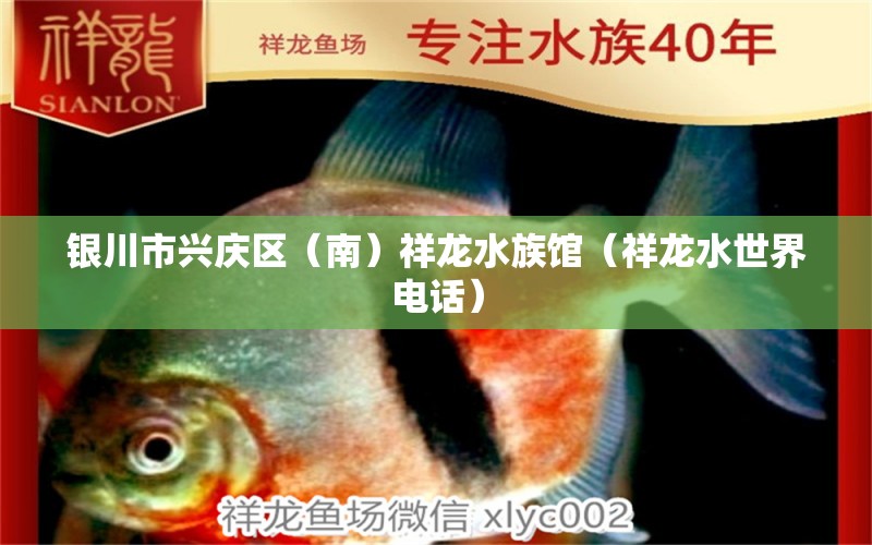 银川市兴庆区（南）祥龙水族馆（祥龙水世界电话） 全国水族馆企业名录