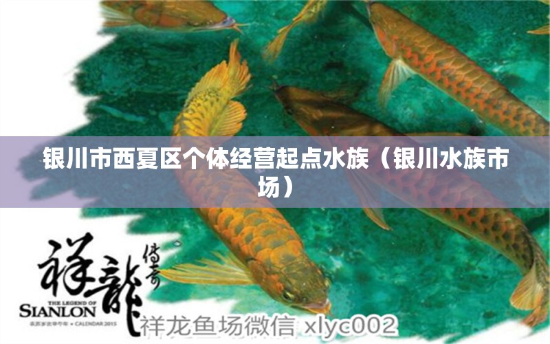 银川市西夏区个体经营起点水族（银川水族市场） 全国水族馆企业名录